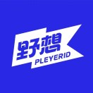 野想PLEYERID