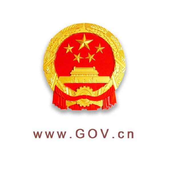 政府网站背景图图片